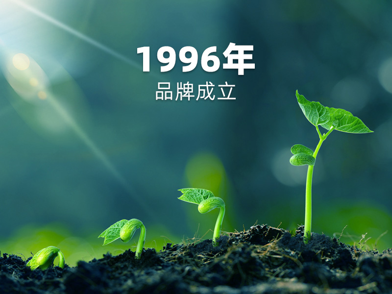 1996年品牌成立：PCB硬板制造征程，匠心傳承！